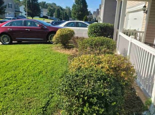 Dave C.'s Bush Trimming service result