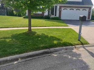 Kayla S.'s Grass Cutting service result