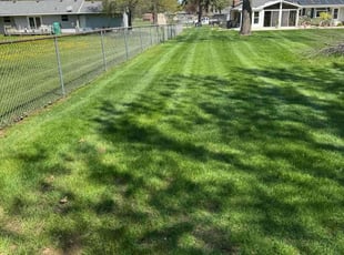 Eliane G.'s Lawn Mowing service result
