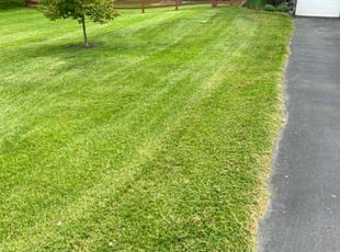 Michael N.'s Lawn Care service result