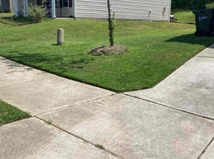 Deoundrea K.'s Lawn Mowing Service service result