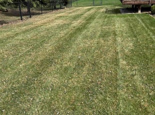 Mona H.'s Lawn Care service result
