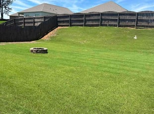 Kelly W.'s Lawn Mowing service result