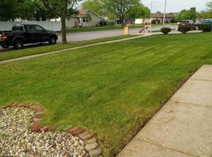Alicia D.'s Grass Cutting service result