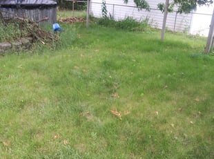 Landscaping by Rodney Childs for Geoffrey T. in Ferndale, MI