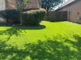 Bush Trimming by Gabriel Piedra for Porcia G. in Flower Mound, TX