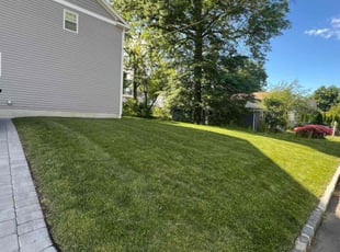 Jeffrey W.'s Lawn Service service result