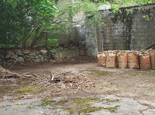 Cleanups by Peter Monopoli for Vern Q. in Boston, MA