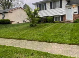 Marianne S.'s Lawn Mowing service result