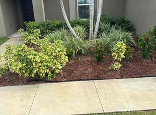 Weeding by Arthur Grant for CRAIG M. in Port St. Lucie, FL