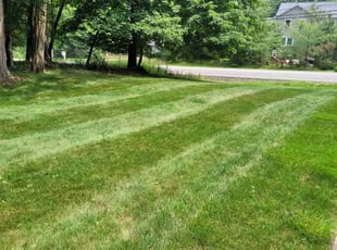 Van L.'s Lawn Service service result