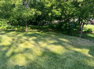 Michael S.'s Lawn Service service result