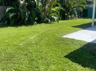 Todd R.'s Lawn Service service result