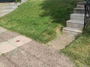 Joanna P.'s Lawn Maintenance service result