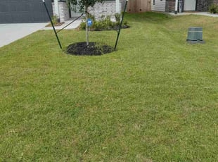 Beverly L.'s Lawn Mowing service result