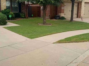 Vanessa L.'s Grass Cutting service result