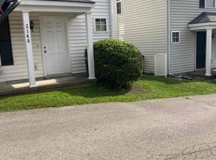 Vanessa D.'s Bush Trimming service result