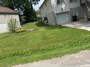 Monica L.'s Lawn Service service result