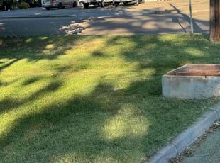 Elizabeth G.'s Yard Cutting service result