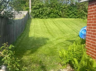 Tariq A.'s Lawn Service service result