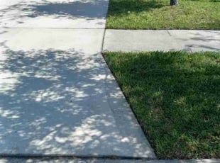 Diane H.'s Grass Cutting service result