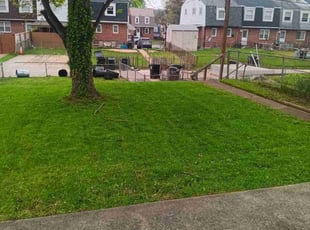 Raul A.'s Lawn Service service result
