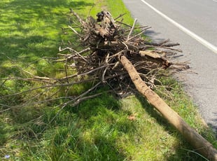 Cleanups by Zack Barrett for Angie S. in Buffalo, NY