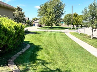 Andrew H.'s Lawn Service service result