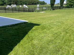 Tyler B.'s Grass Cutting service result