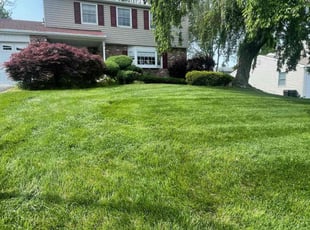 Sandeep S.'s Lawn Care service result