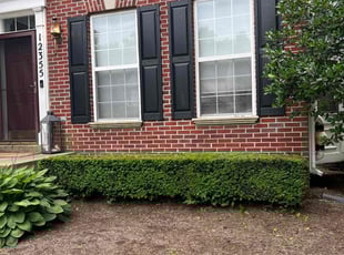 Bush Trimming by Ines Pereira for Cristina G. in Bristow, VA