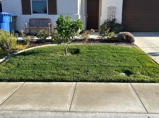 Lynn J.'s Lawn Mowing service result