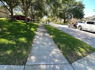 Tammy G.'s Lawn Mowing service result