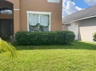 Bush Trimming by Joseph Grasso for Charlande J. in Orlando, FL