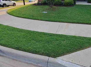 Sesan O.'s Lawn Maintenance service result