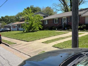 Ranavy R.'s Lawn Mowing service result