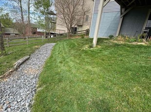 Glenn M.'s Grass Cutting service result