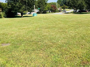 Ann M.'s Yard Cutting service result