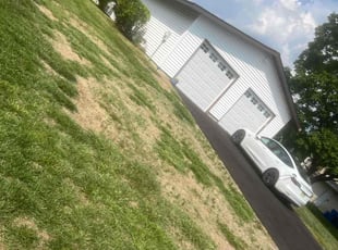 Bush Trimming by Nicholas Reifsneider for Tony F. in Mount Holly, NJ