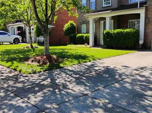 Sharita P.'s Lawn Mowing Service service result