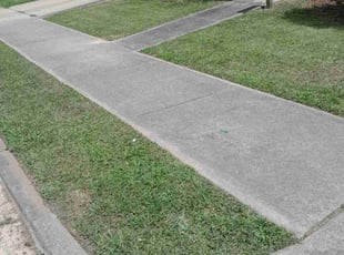Maly G.'s Lawn Mowing service result