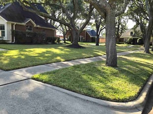 Arnetta T.'s Lawn Service service result