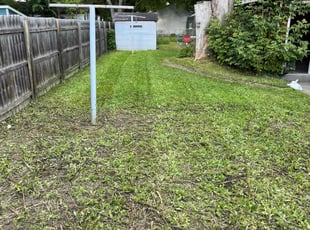 Cary A.'s Lawn Mowing service result