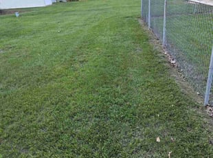 Rowena M.'s Yard Cutting service result