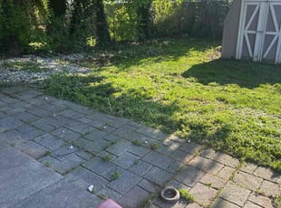 Weeding by James Serio for Stephen L. in Rochester, NY