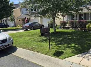 Jyothishwar S.'s Lawn Care service result
