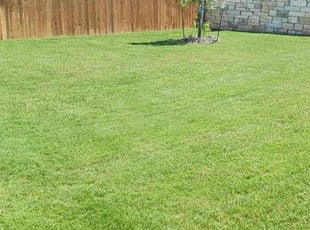 Llewellyn H.'s Lawn Care service result