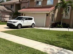 Thomas C.'s Lawn Mowing service result