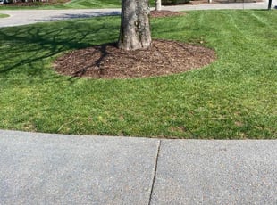 Breann B.'s Lawn Maintenance service result