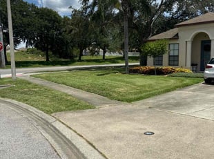 Celia E.'s Lawn Service service result